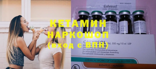 2c-b Новозыбков