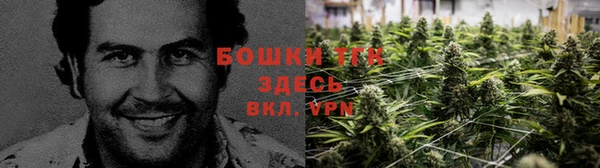 2c-b Новозыбков