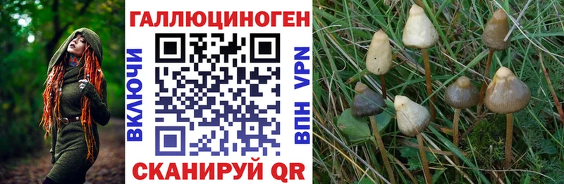 Галлюциногенные грибы мухоморы  наркота  Норильск 