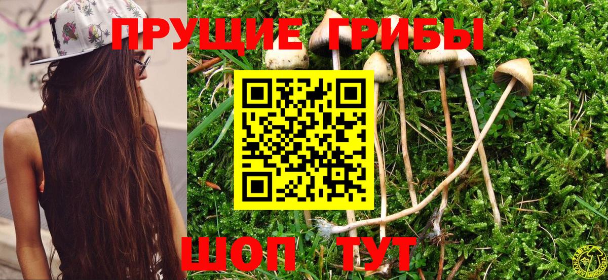 Норильск  Галлюциногенные грибы прущие грибы  Вход с VPN 