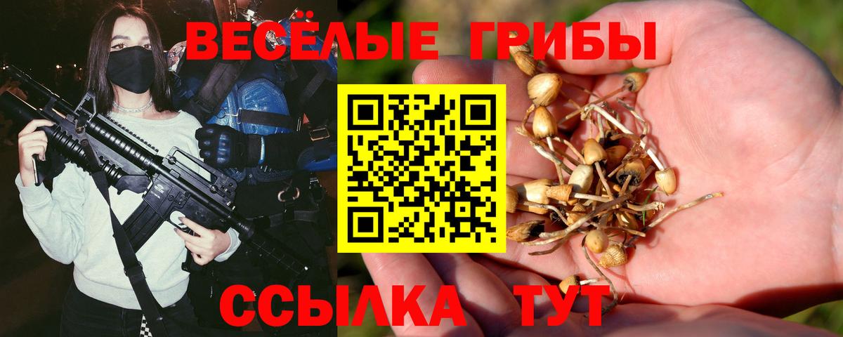 Галлюциногенные грибы прущие грибы Норильск